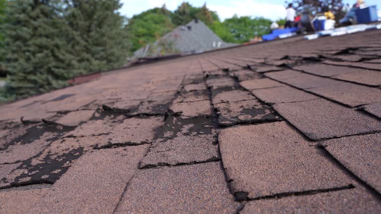 Best Asphalt Shingle Roofing  in Cataula, GA